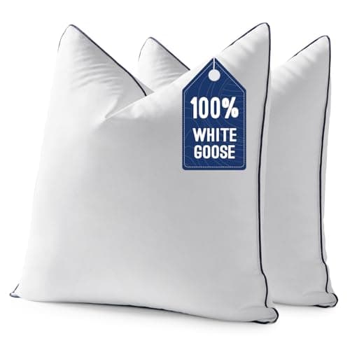 MIULEE Gänsedaunen Kissen Einlagen im Test – 2er Set für Sofa & Wohnzimmer