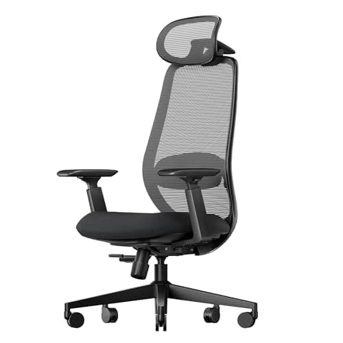 ProtoArc EC200 Review – Solid Ergonomic Chair Under $300?