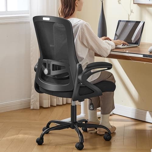 Nexthro Ergonomic Office Chair Review: Solid Budget Pick for Back Pain?