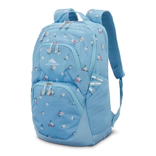 High Sierra Swoop SG Backpack Review – Comfortable Laptop Bag?