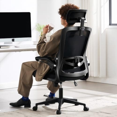 Fizzin Ergonomischer Bürostuhl Test: Unser Urteil zum Mesh Stuhl