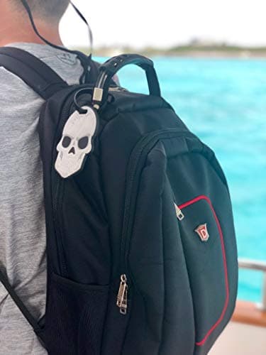 DUKAP Travel Luggage Tag with Skull Design, Luggage Accessory for Men and Women, Skull