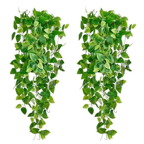 Freyalife Fake Hanging Plants Review: Do They Actually Look Real?