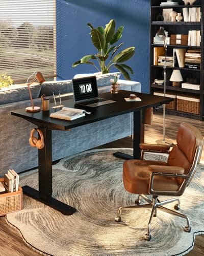FLEXISPOT EN1 One-Piece Standing Desk, Electric Adjustable with 4 Memory Presets, 176 LBS Capacity, Stable & Quiet, Seamless Desktop for Home Office & Dual Monitors, 48"x24" Black